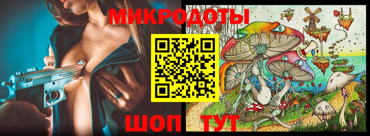 Псилоцибиновые грибы Psilocybe  Вход с VPN  Псилоцибиновые грибы прущие грибы  Муравленко 