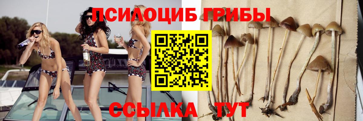Галлюциногенные грибы MAGIC MUSHROOMS Муравленко
